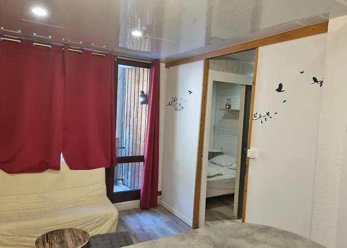 Plagne Bellecote - T2 Pour 4 Pers - Animaux Admis - Fr-1-181-2873 La Plagne-Tarentaise